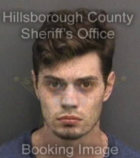 Beck Christopher - Hillsborough County, Florida 