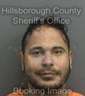 Deleon Josue - Hillsborough County, Florida 