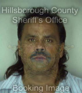 Leon Sergio - Hillsborough County, Florida 