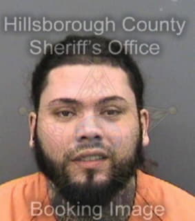 Roque Tommy - Hillsborough County, Florida 