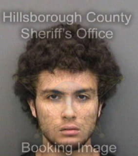 Destefano Tyler - Hillsborough County, Florida 