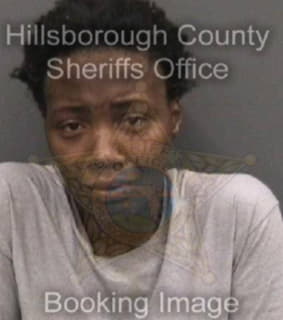 Carroll Valencia - Hillsborough County, Florida 