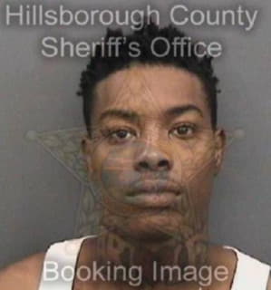 Mcfadden Waltonio - Hillsborough County, Florida 