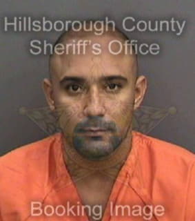 Diaz Emanuel - Hillsborough County, Florida 