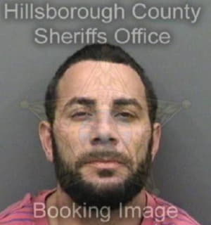 Villarin Randy - Hillsborough County, Florida 