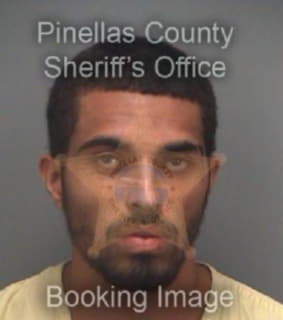 Hayes Anthony - Pinellas County, Florida 