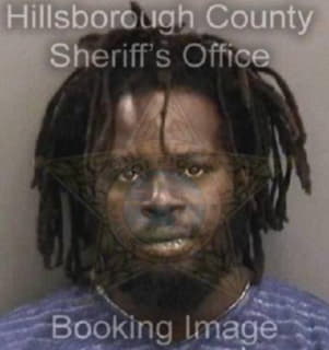 Robinson Christopher - Hillsborough County, Florida 