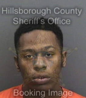 Williams Darren - Hillsborough County, Florida 