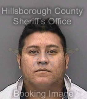 Ruizromero Didier - Hillsborough County, Florida 