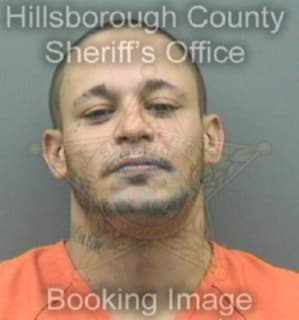 Rodriguez Samuel - Hillsborough County, Florida 