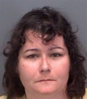 Goinslinn Annette - Pinellas County, Florida 