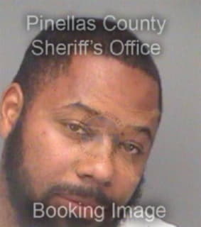 Boykins Anthony - Pinellas County, Florida 