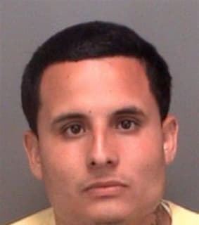 Andrade Daniel - Pinellas County, Florida 