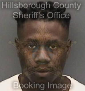 Miller Arthur - Hillsborough County, Florida 