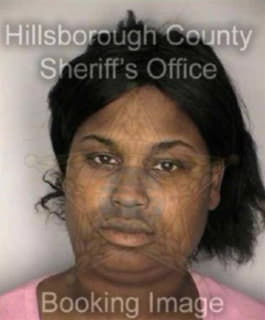 Mckennon Tamela - Hillsborough County, Florida 