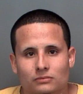 Andrade Daniel - Pinellas County, Florida 