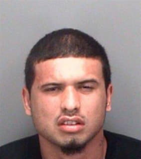 Rodriguez Joshua - Pinellas County, Florida 