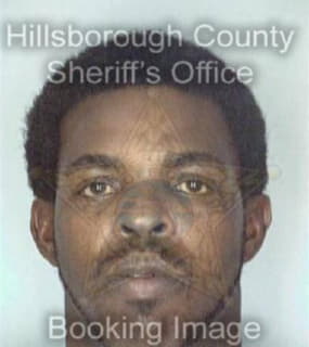 Anderson Michael - Hillsborough County, Florida 