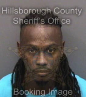 Kelly Steven - Hillsborough County, Florida 