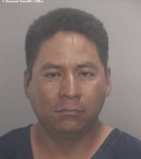 Flores Arsenio - Broward County, Florida 