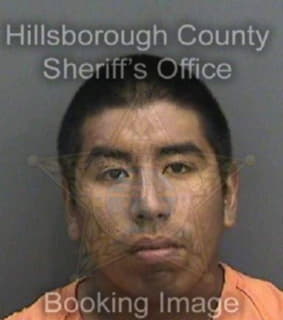 Patino Keb - Hillsborough County, Florida 