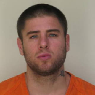 Aloian Michael - Hillsborough County, Florida 