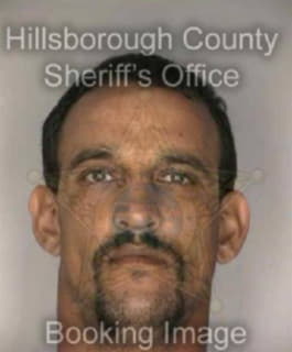 Demarest Richard - Hillsborough County, Florida 