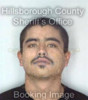 Martinez Gerard - Hillsborough County, Florida 