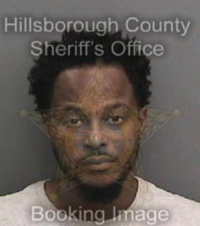 Mills Patrick - Hillsborough County, Florida 