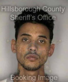 Martinez Randy - Hillsborough County, Florida 