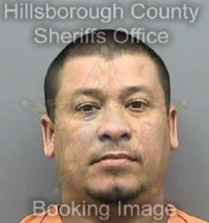 Vega Rigoberto - Hillsborough County, Florida 