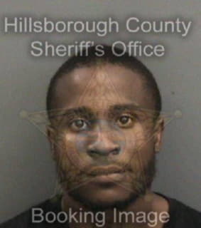 Pedrosa Angelo - Hillsborough County, Florida 