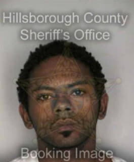 Wilson Darnell - Hillsborough County, Florida 