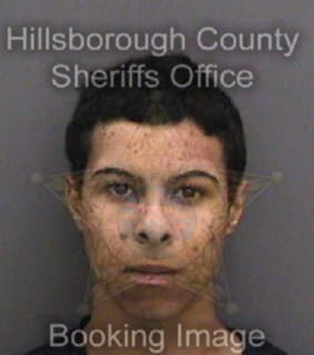 Payero Humberto - Hillsborough County, Florida 