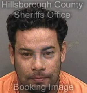 Carmonarodriguez Juan - Hillsborough County, Florida 