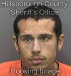 Matthews Terrel - Hillsborough County, Florida 