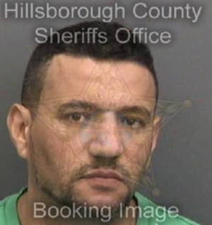 Dominguez Alexei - Hillsborough County, Florida 