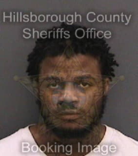 Knight Carlos - Hillsborough County, Florida 