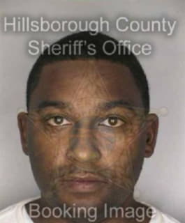 Mcclintock Dwight - Hillsborough County, Florida 