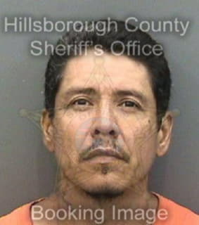 Cardona Eliazar - Hillsborough County, Florida 