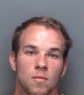 Mathews Tracy - Pinellas County, Florida 