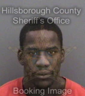 Lewis Dominique - Hillsborough County, Florida 