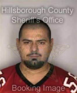 Laravelazquez Ricardo - Hillsborough County, Florida 