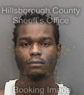 Williams Terrance - Hillsborough County, Florida 