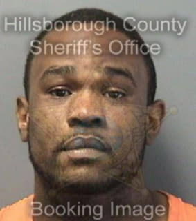 Knighton Demario - Hillsborough County, Florida 