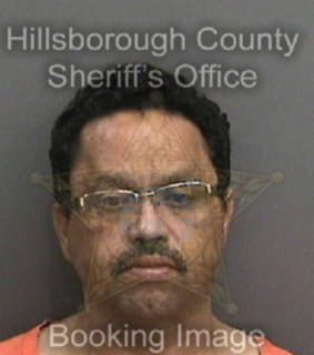 Martinez Edwin - Hillsborough County, Florida 