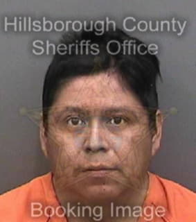 Alvaradogonzalez Jorge - Hillsborough County, Florida 