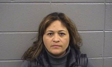 Torres Lucia - Cook County, Illinois 