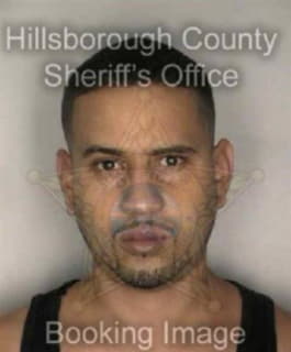 Rodriguez Luis - Hillsborough County, Florida 