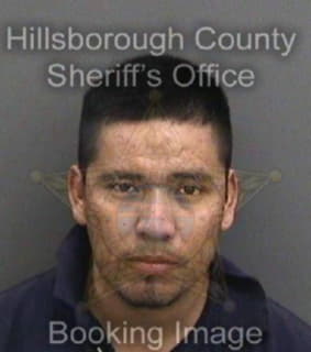 Ramirezcervantes Omar - Hillsborough County, Florida 